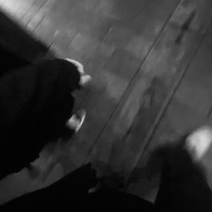 在线观看A片无码一区二区
